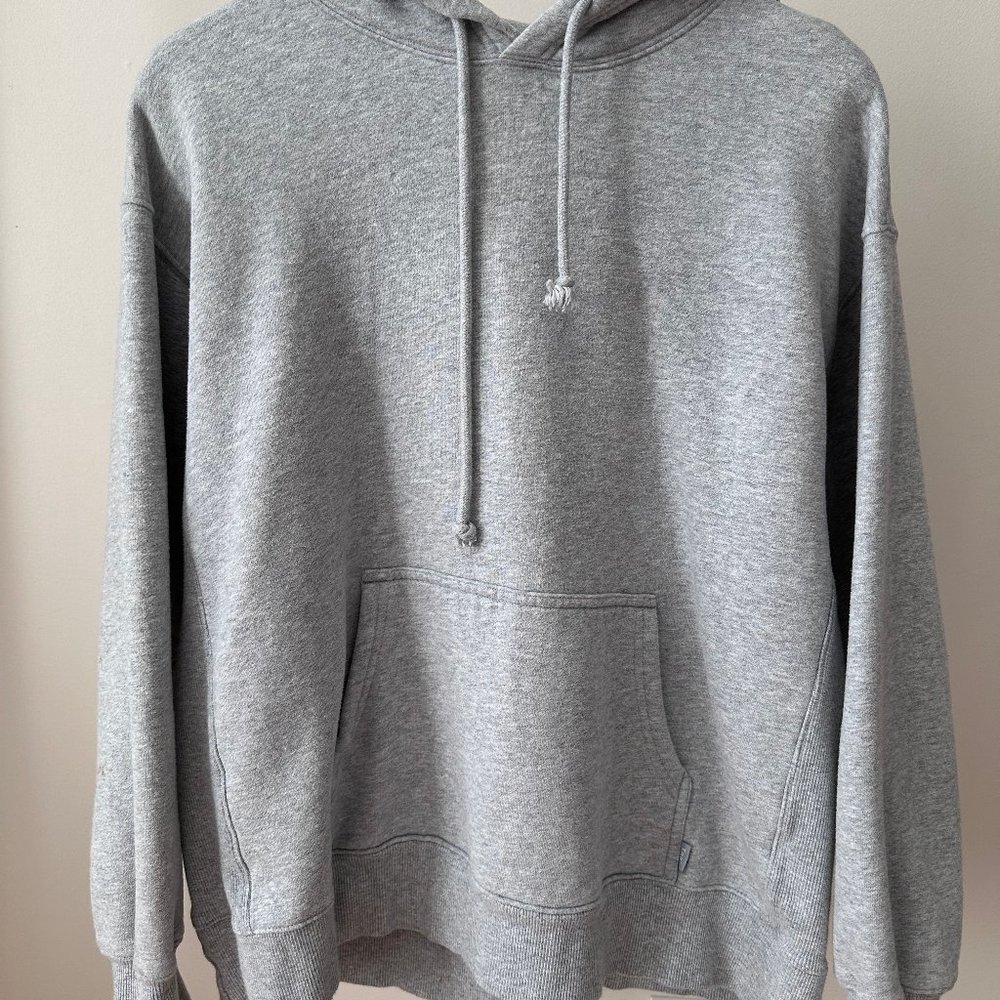 Aritzia TNA Gray Boyfriend Hoodie